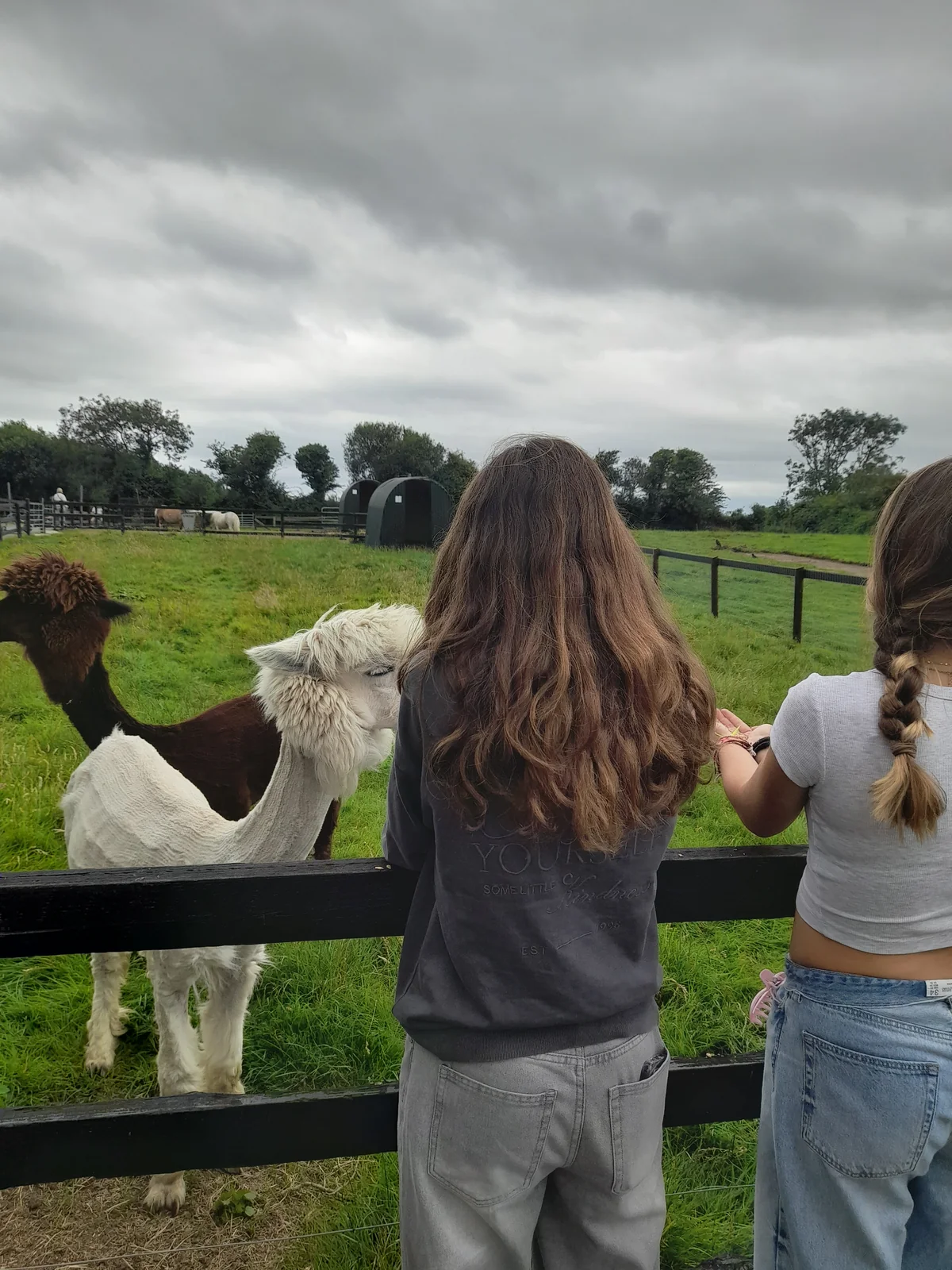 Students visiting Kia Ora Farm